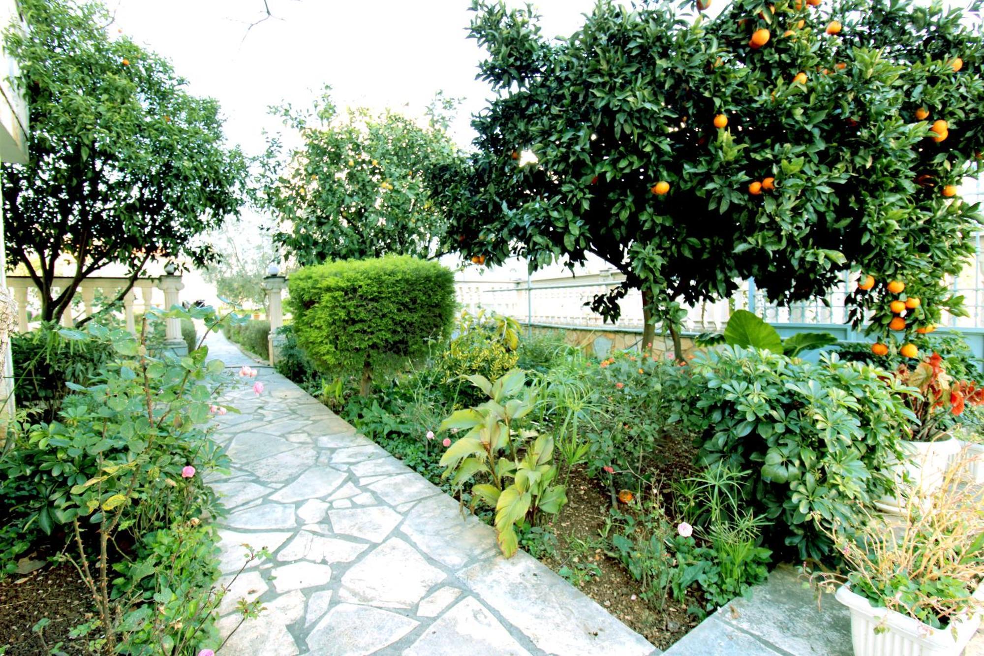 Garden Villa Dhesara 사밀 외부 사진